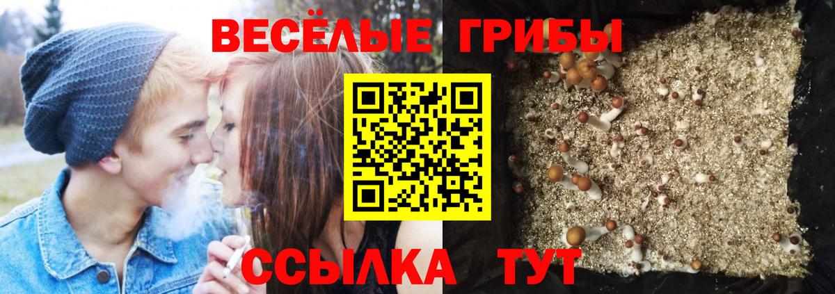 Краснодар  Галлюциногенные грибы Psilocybine cubensis  Вход с VPN 